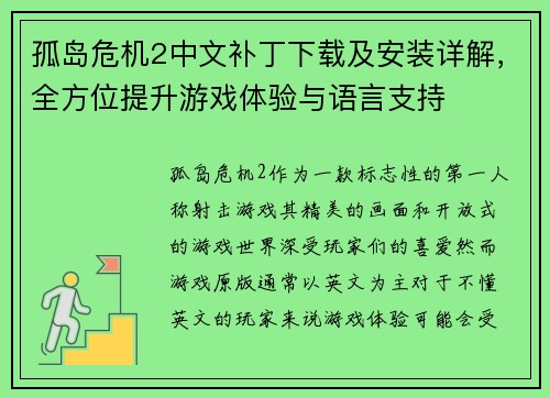 孤岛危机2中文补丁下载及安装详解，全方位提升游戏体验与语言支持